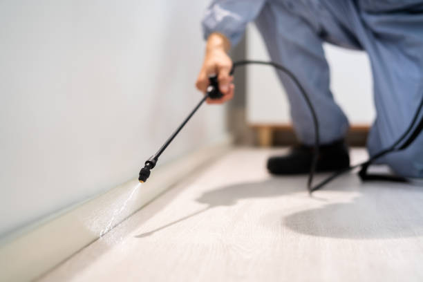 Licensed Termite Control service in Calhoun County County, FL - Nex Pest Control