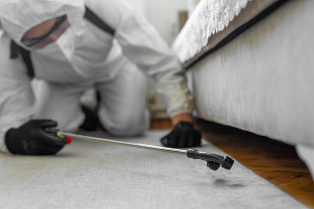 Professional Termite Control technician working in Calhoun County County, FL